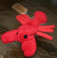 Rock Lobster.jpg