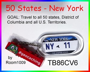 50 States - New York