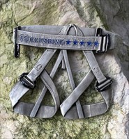 LordT&#39;s T5 Harness Climbing Geocoin - Front