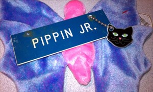 Pippin Jr