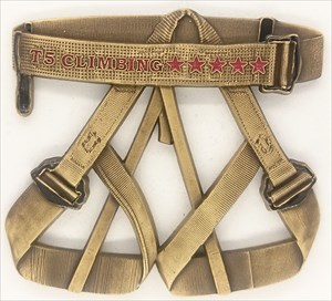 T5 Harness Climbing Geocoin - Antique Gold