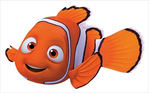 Nemo the Event Traveller