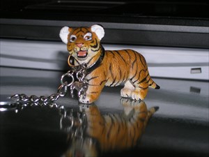 Bengal the Tiger Cub