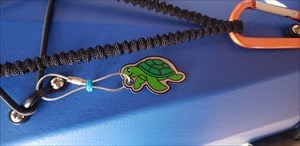 Kayak Turtle