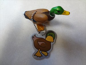 ~HideNseekers~ Quackers the Duck TB