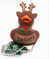 Dasher Duck
