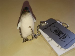 A-Ra&#39;s Penguin