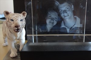 Tiger at home with Lük&amp;Kacka