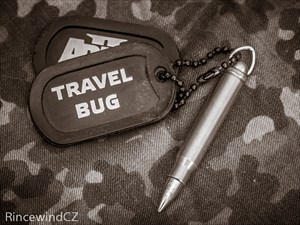 AA Travelbug