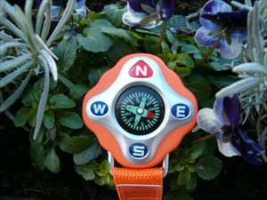 Het oranje kompas