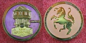 Twente Coin - Violet