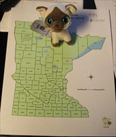 Kitty begins her mission in Itasca County