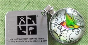 Geo caching Logo Tag Humming Bird