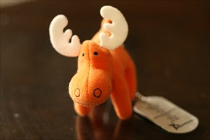 Orange Moose at rest