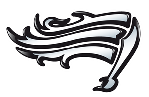 Swarco Raiders Logo