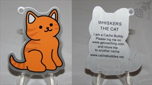 Whiskers the Cat Travel Tag