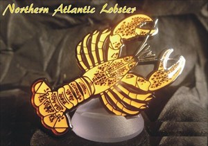 Atlantic Lobster