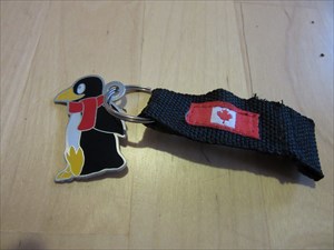 Canadian Penguin on the go
