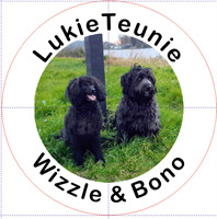 LukieTeunie Bono &amp; Wizzle Suwâld Frl - NL 2021 GP1