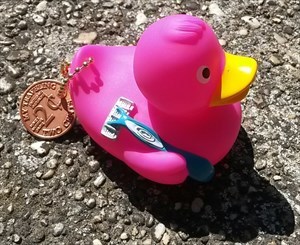 Duck with Coin