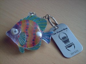 Regenbogen-Fisch