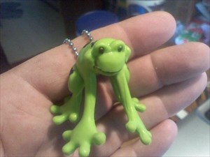 Frank&#39;s Frog (In Frank&#39;s Hand)