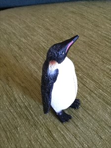 Kleiner Pinguin auf großer Reise