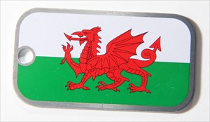 Orion&#39;s Wales Flag Tag