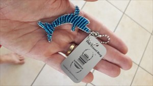 Dolphin tag