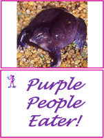 Purple People Eater