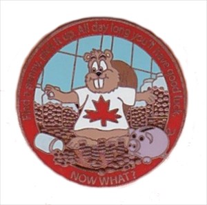 Canada Micro 2013 #1