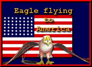 Eagle flying to America