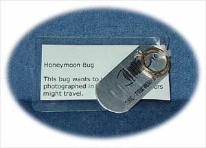Honeymoon Bug