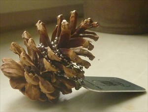 Das Bockerl (pine cone)