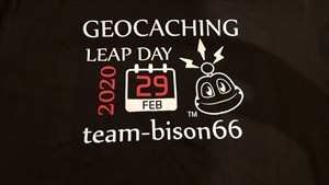 Leap Day 2020 T-Shirt 1