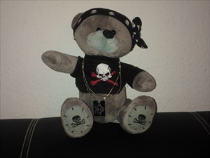 Pirate Bear
