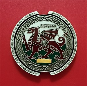 Welsh dragon Spinner