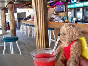 Carney at a Tikki bar in FL!