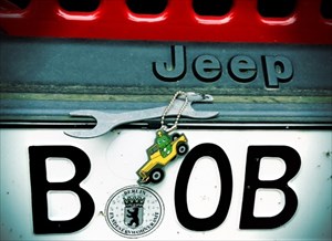 Bob the Jeep Frog at home in Berlin