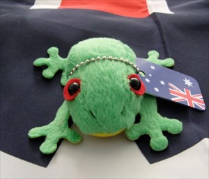 Aussie Green frog seeks cosy quiet places :)