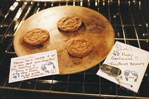 Brinkley&#39;s Travel Bug with Fresh Cookies
