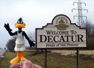 Daffy Duck in Decatur, IL