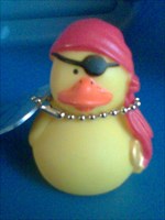 Chips Duck - Protector of the Geocoins