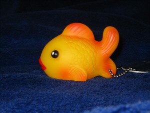 Go Goldfish!