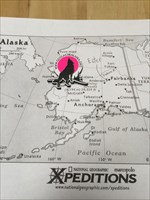 Pink at Home in Ester Alaska