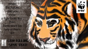 Save the tiger