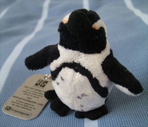 Penguin Peter