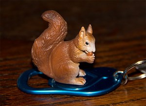 Squirrel Nutkin and the Santa Cruz Flip-Flop