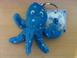 Happy Octopus Dutch Tagz