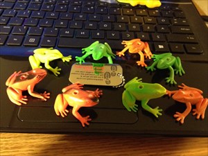 All of the frogs together for the last time
